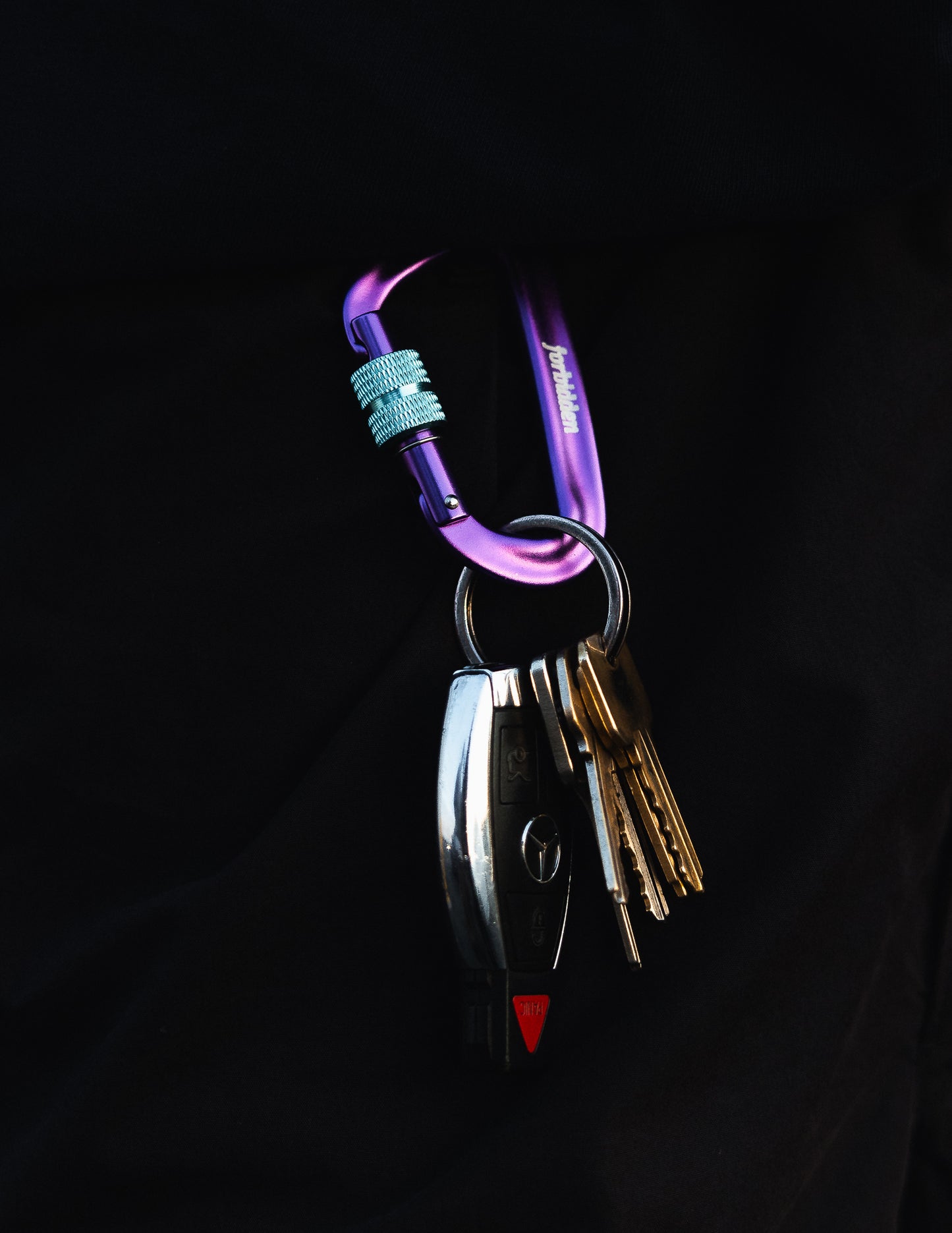 PURPLE CARABINER